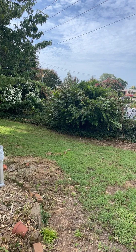 Expert lawn mowing service for outdoor upgrades in Fountain Inn, SC by Goat And Son Landscaping