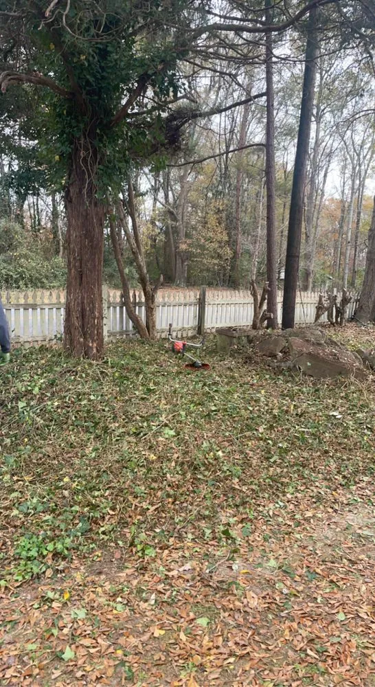 Top-rated residential landscaping in Fountain Inn, SC - Goat And Son Landscaping