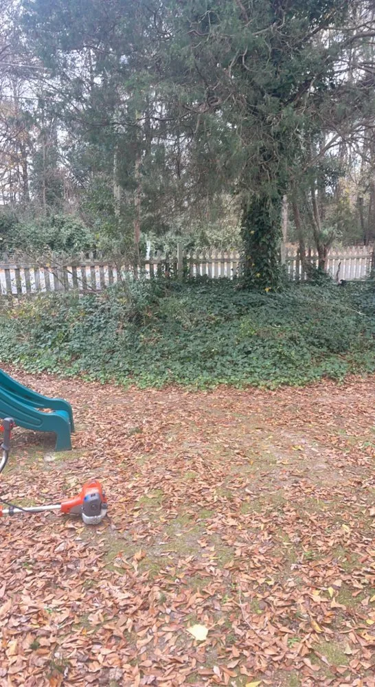 Expert yard maintenance experts serving Fountain Inn, SC - Goat And Son Landscaping