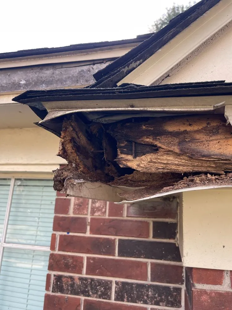 Reliable residential landscaping for homes across Cypress, TX - Goat Construction