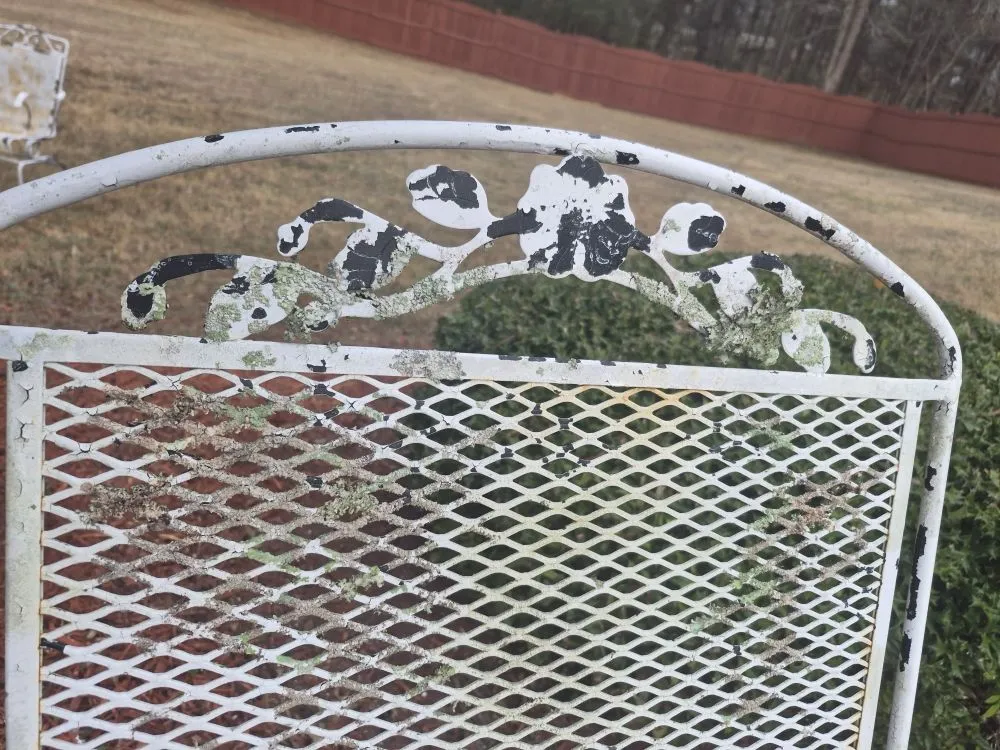 Professional landscape design experts serving Dallas, GA - GOAT Lawn Care