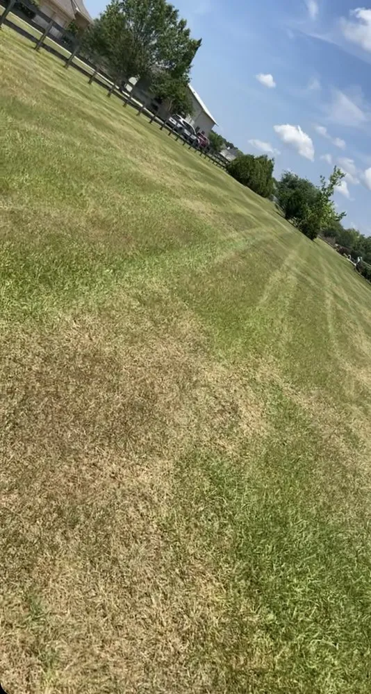 Custom yard cleanup service in Daphne, AL - GOAT Lawn Care