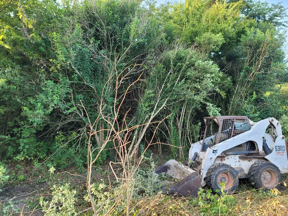 Affordable yard cleanup service with custom design in Austin, TX by Goat Lawn Services