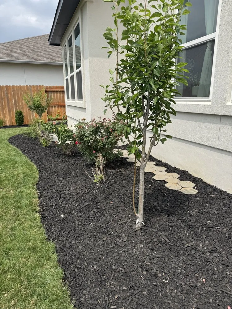 Expert landscape design for beautiful yards in Austin, TX by Goat Lawn Services