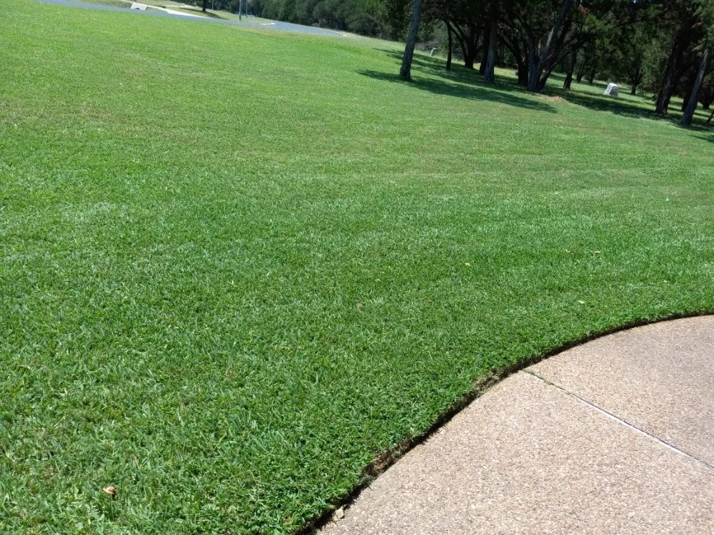 Custom lawn care service in Austin, TX - Goat Lawn Services