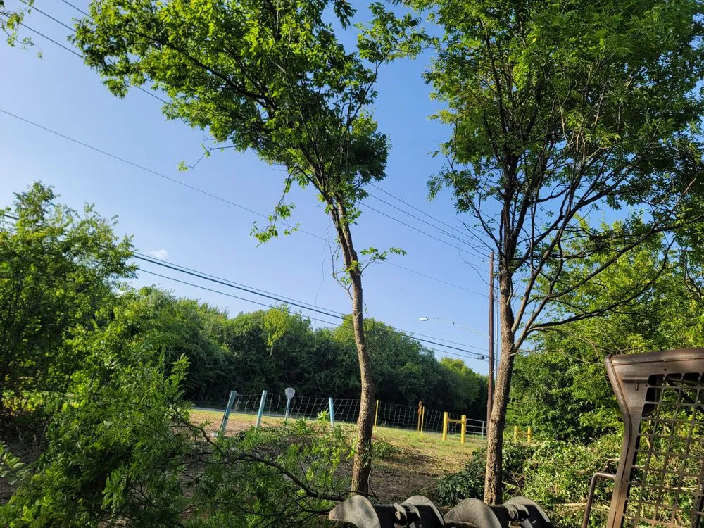 Professional lawn care service in Austin, TX - Goat Lawn Services