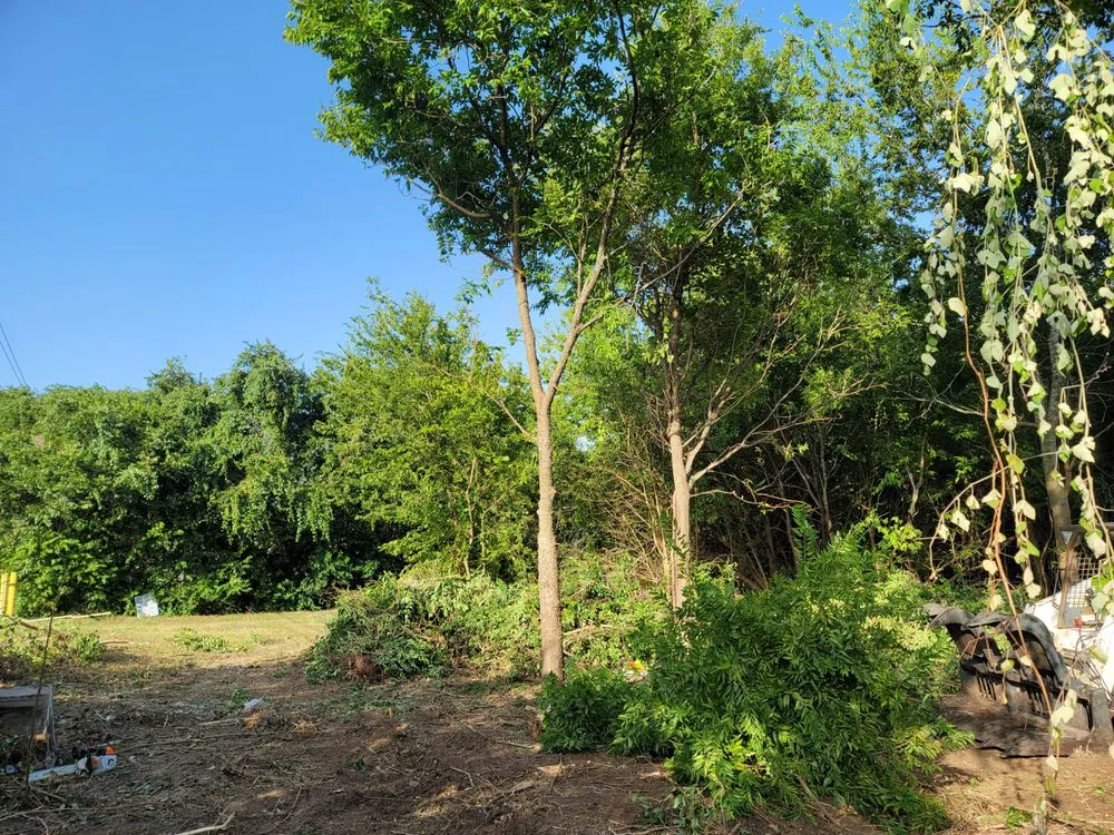 Expert garden landscaping for beautiful yards across Austin, TX - Goat Lawn Services