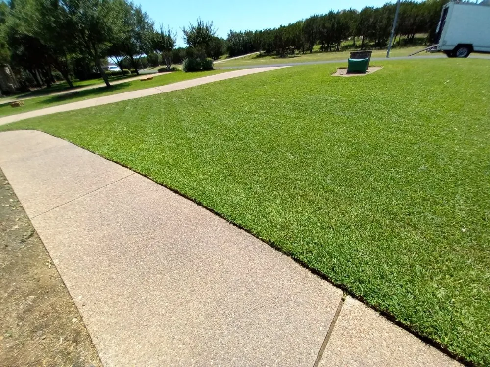 Professional outdoor landscaping in Austin, TX by Goat Lawn Services