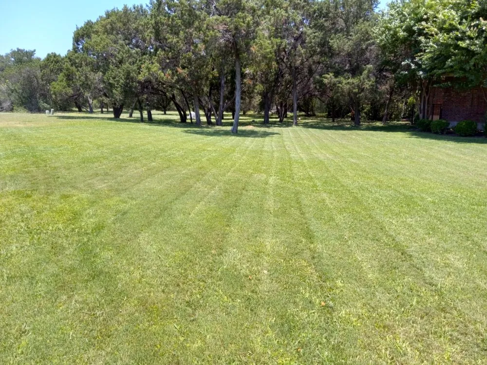 Custom landscape installation for homes across Austin, TX - Goat Lawn Services