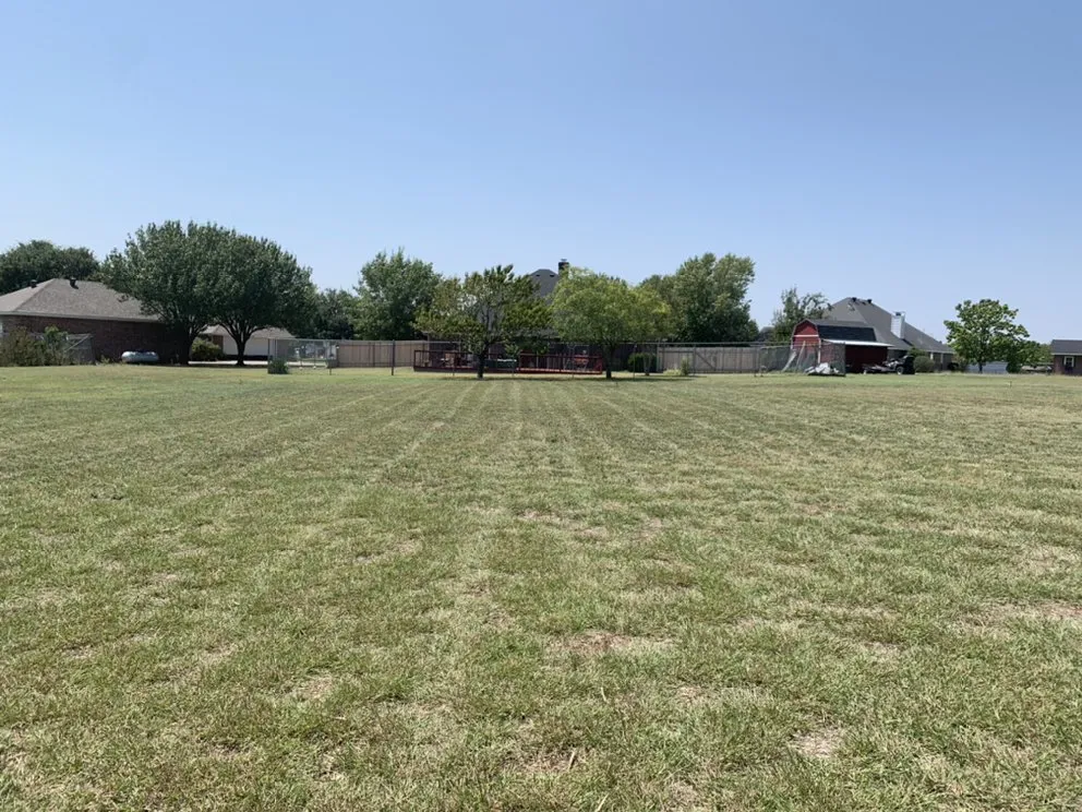 Professional yard cleanup service in Palmer, TX - Goat Lawn Services