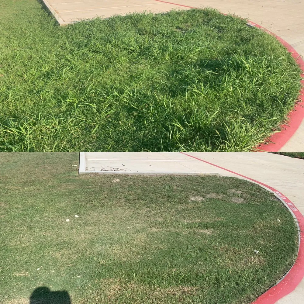 Expert lawn mowing service in Palmer, TX by Goat Lawn Services