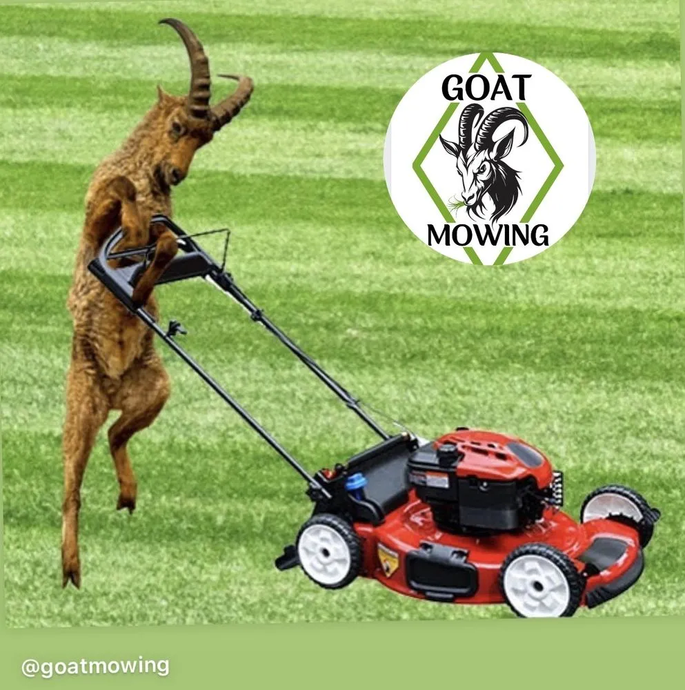 Reliable lawn care service with custom design across Savoy, IL - Goat Mowing & Company