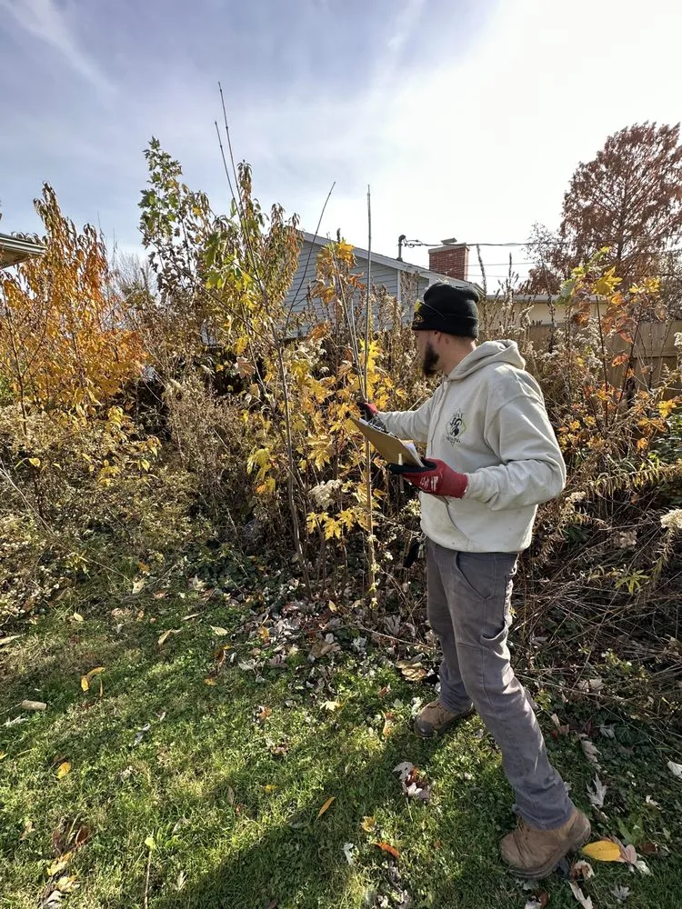 Top-rated lawn mowing service in Savoy, IL - Goat Mowing & Company