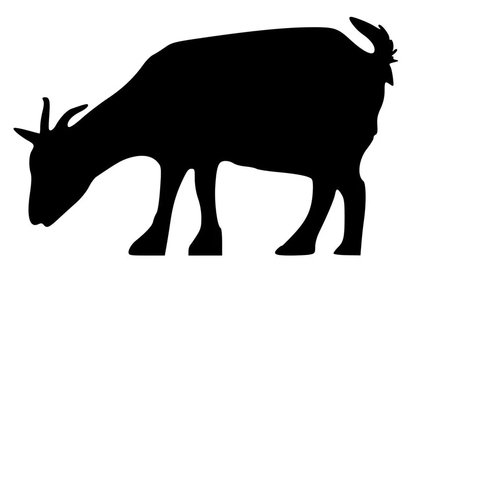 Reliable landscape design in Merchantville, NJ by Goat NJ