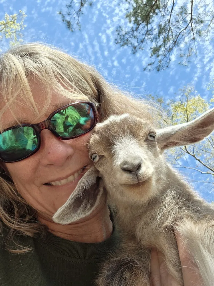 Local yard maintenance in Waverly, GA - Goatbusters Goatscaping