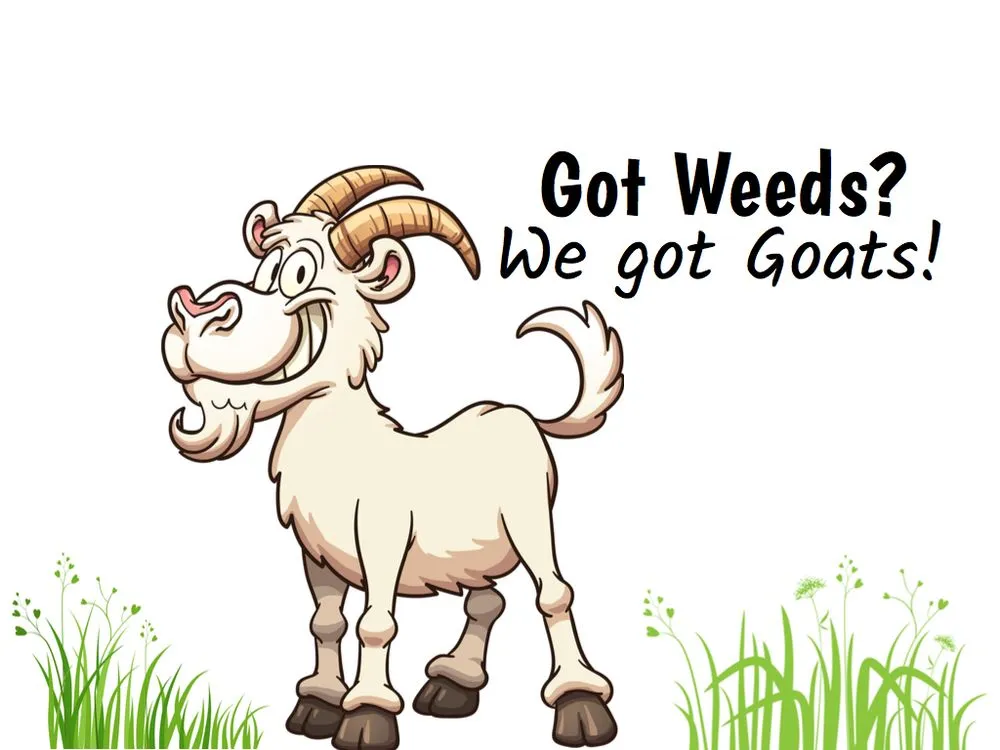 Professional outdoor landscaping for beautiful yards across Prunedale, CA - Goats-4-Rent