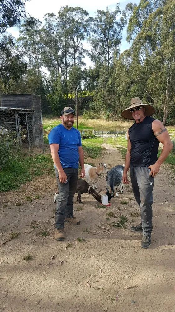 Professional yard cleanup service experts serving Prunedale, CA - Goats-4-Rent