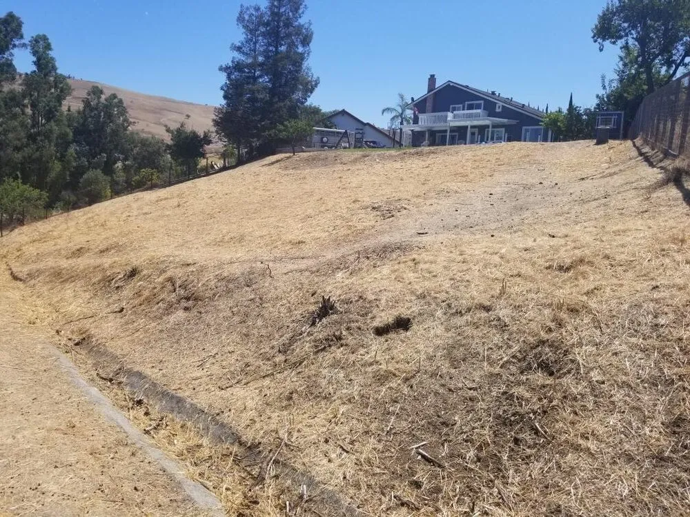 Top-rated landscape installation in Prunedale, CA by Goats-4-Rent