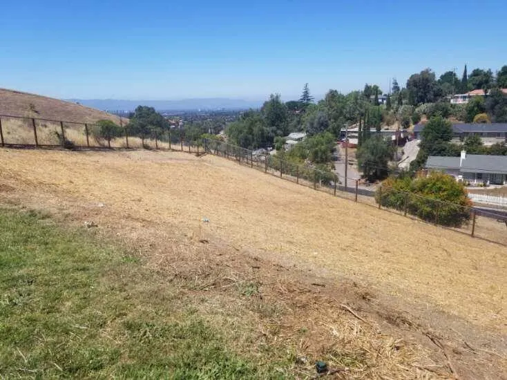 Top-rated yard maintenance in Prunedale, CA - Goats-4-Rent