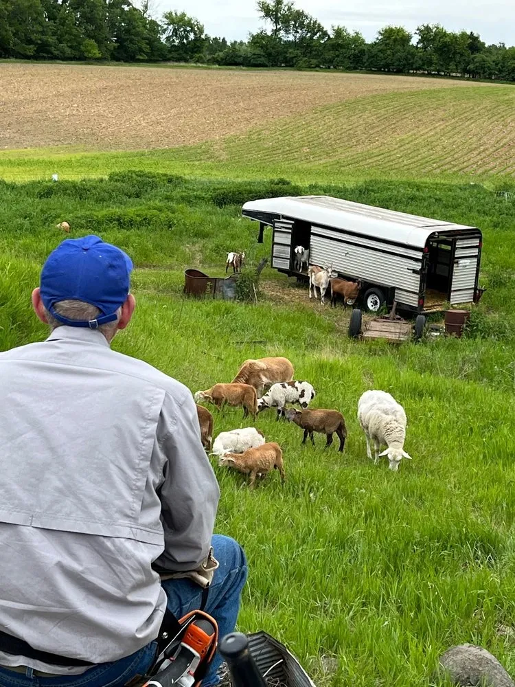 Top-rated landscaping services with custom design in Lodi, WI by Goats on the Go - Wisconsin Dells