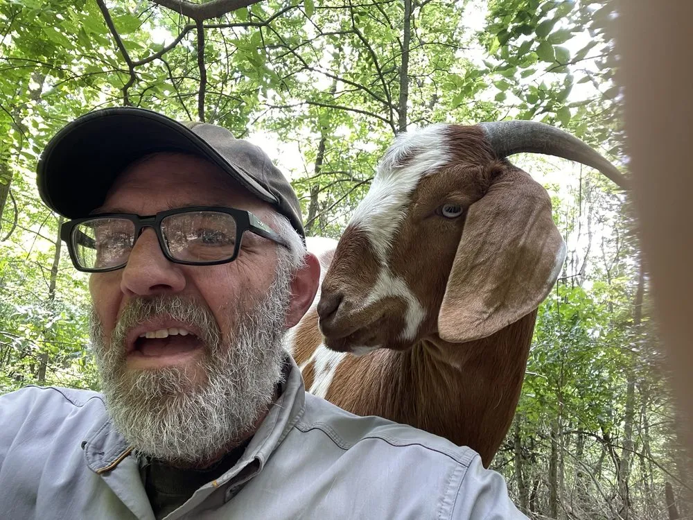 Custom lawn mowing service for outdoor upgrades in Lodi, WI by Goats on the Go - Wisconsin Dells