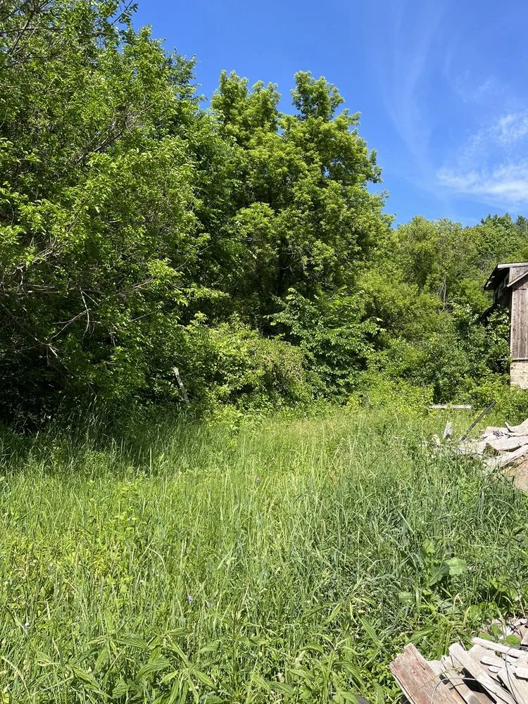 Trusted residential landscaping in Lodi, WI - Goats on the Go - Wisconsin Dells