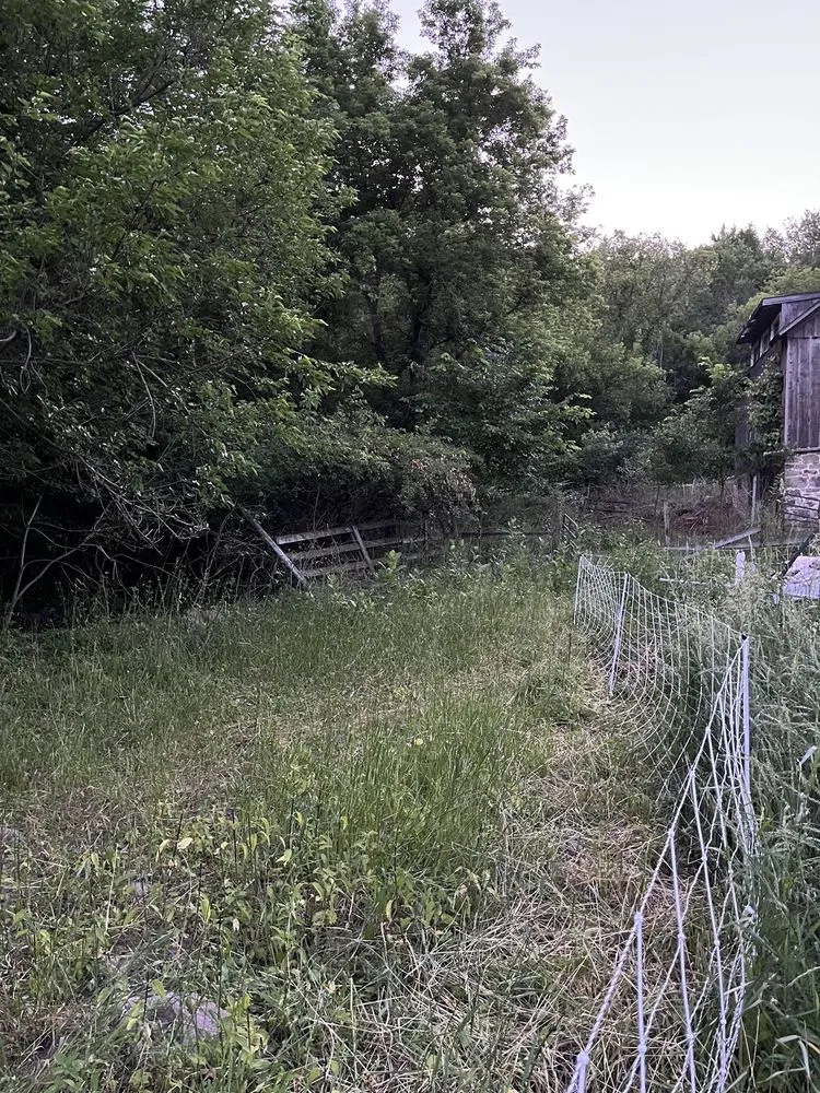 Affordable landscaping services in Lodi, WI by Goats on the Go - Wisconsin Dells