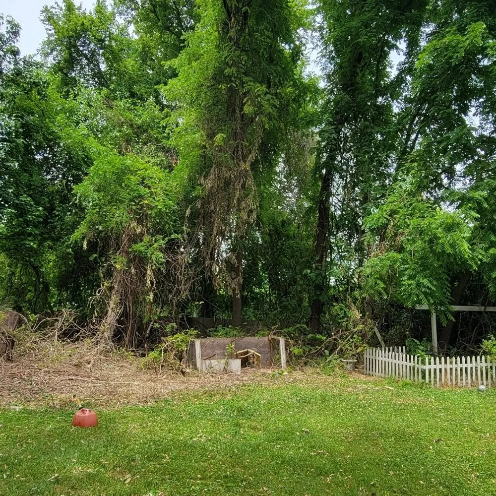 Expert outdoor landscaping in Clementon, NJ by Goats On The Go South Jersey