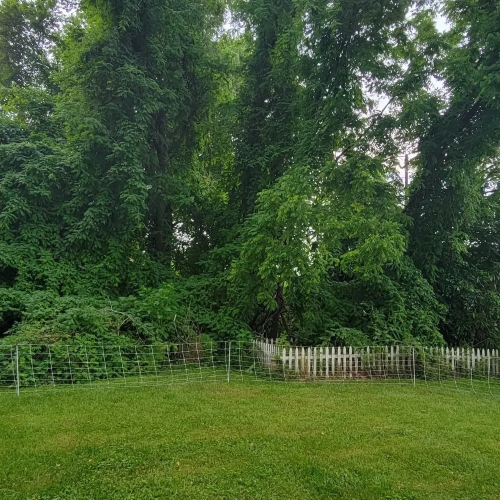 Trusted lawn care service for residential properties in Clementon, NJ by Goats On The Go South Jersey