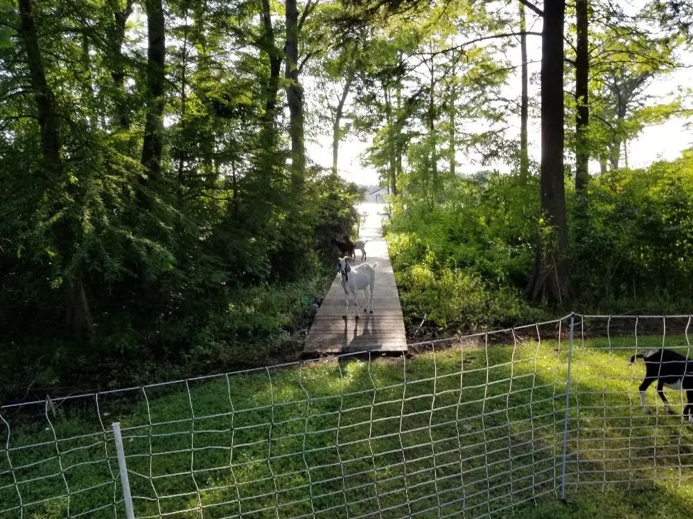 Top-rated garden landscaping for outdoor upgrades across Lanexa, VA - Goatworx