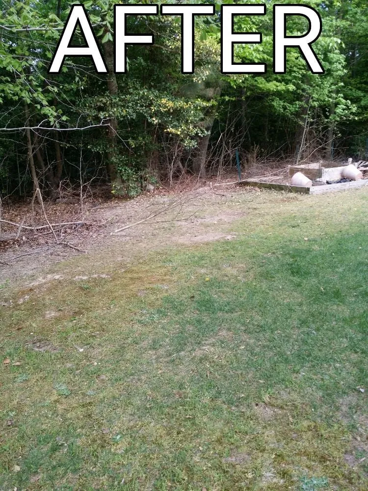 Expert garden landscaping for outdoor upgrades across Lanexa, VA - Goatworx