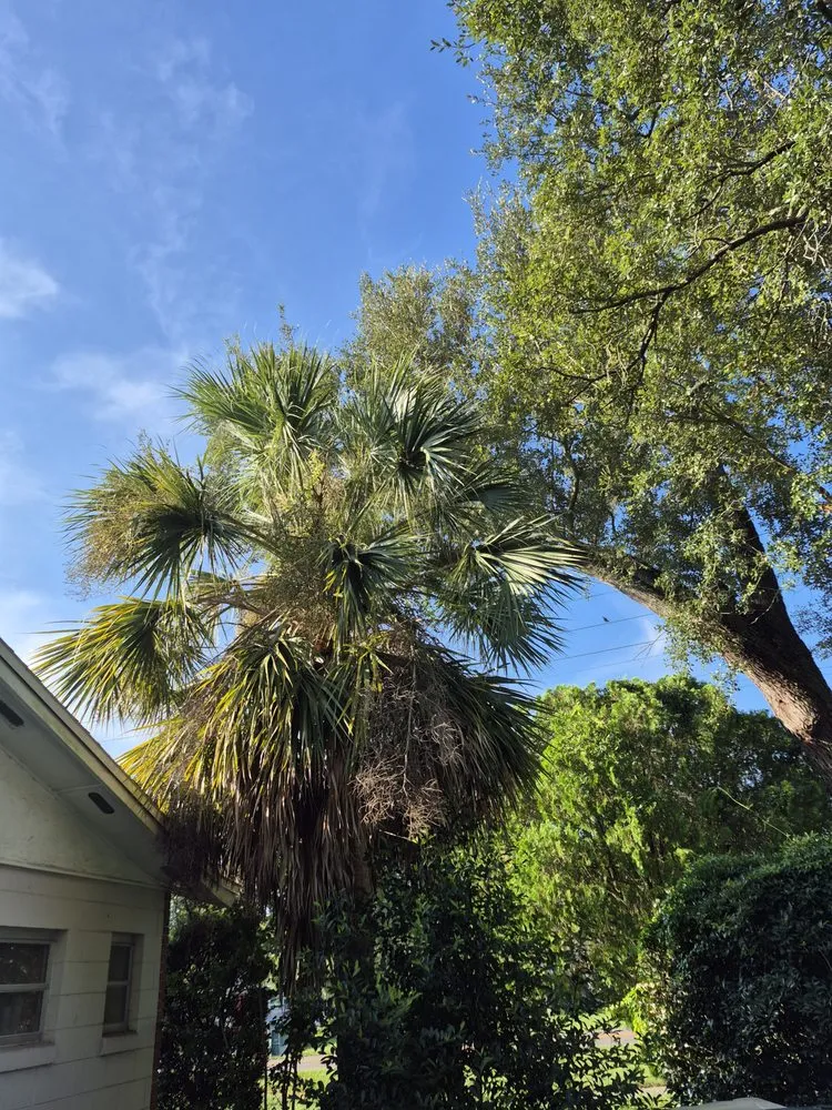 Top-rated landscape design in Ocala, FL by Goatz Maintenance