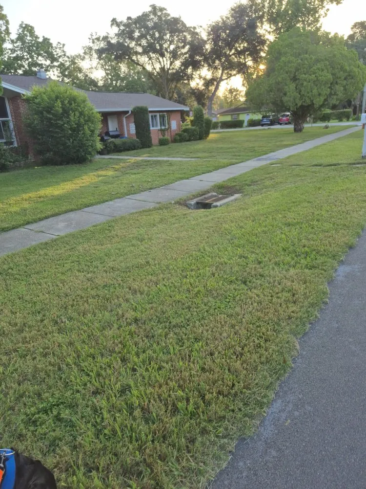 Professional outdoor landscaping near you in Ocala, FL by Goatz Maintenance