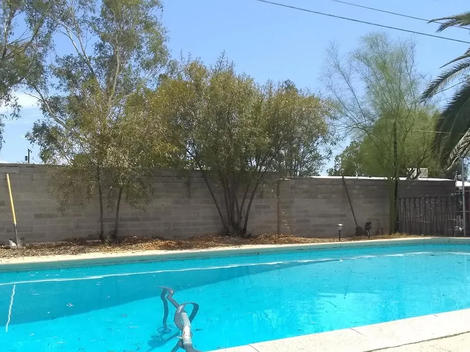 Trusted landscape design for year-round maintenance across Tucson, AZ - Goche's Low Cost Quality Tree Trimming, Landscaping & Hauling