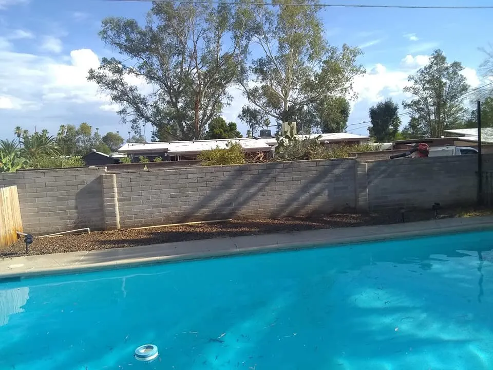 Custom lawn mowing service for beautiful yards in Tucson, AZ by Goche's Low Cost Quality Tree Trimming, Landscaping & Hauling