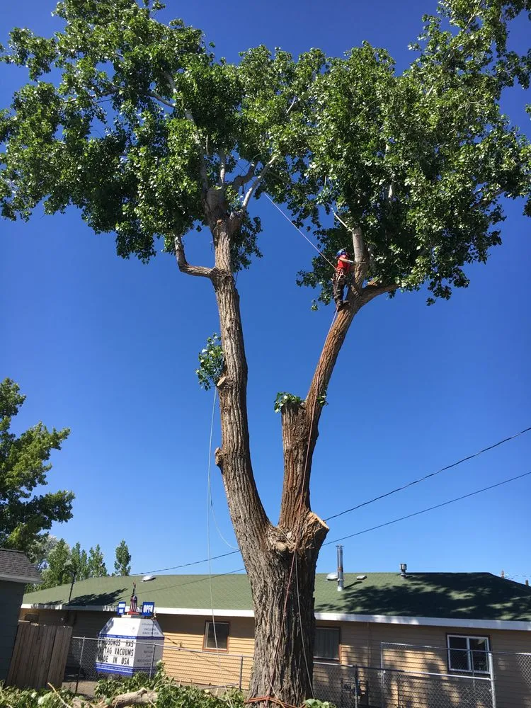 Local outdoor landscaping in Glendale, OR by God and Country Tree Service