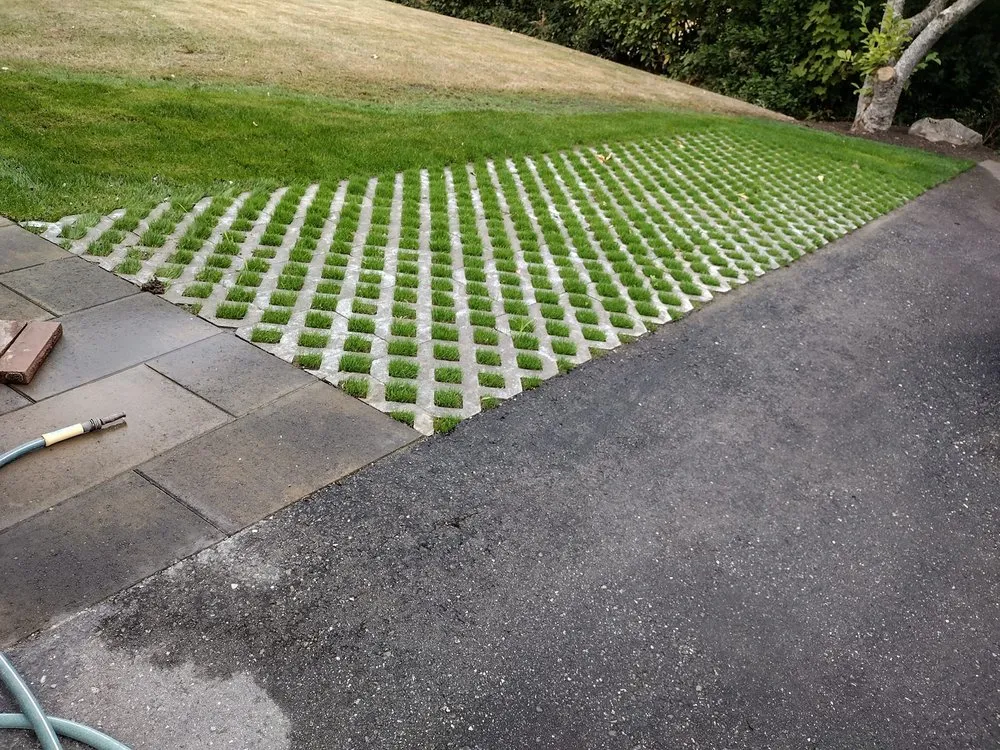 Reliable yard cleanup service for year-round maintenance in Port Orchard, WA by God Bless Landscaping