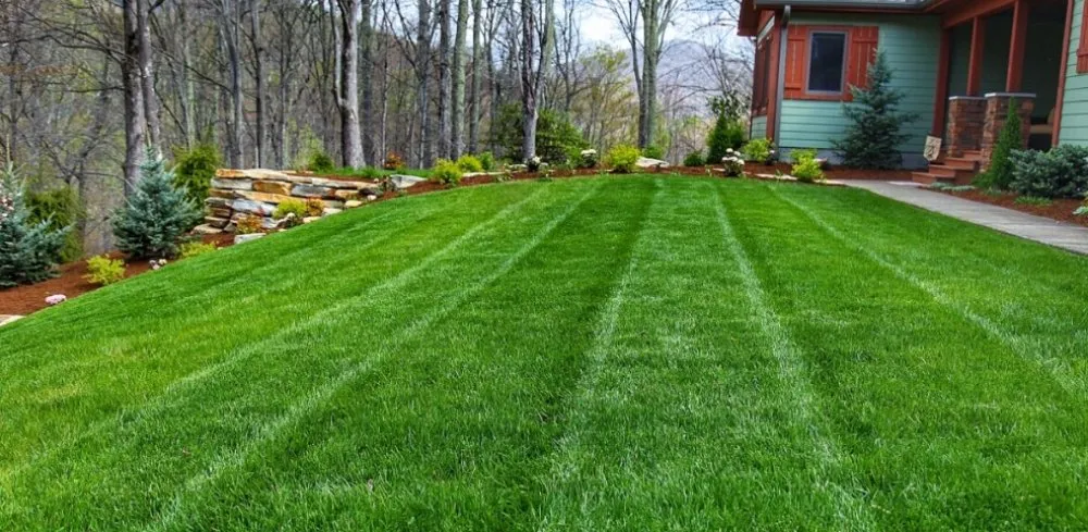 Custom residential landscaping in Pensacola, FL by God Grows It We Mow It
