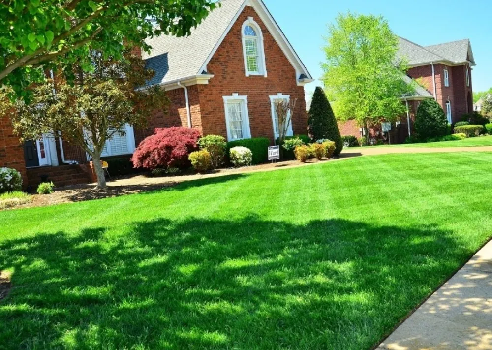 Trusted landscape installation with custom design across Pensacola, FL - God Grows It We Mow It