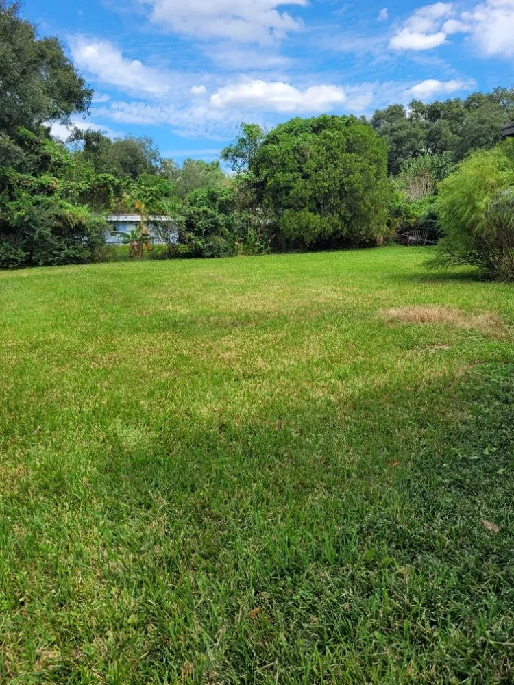 Trusted landscaping services in Pensacola, FL - God Grows It We Mow It