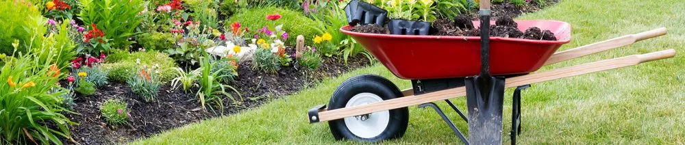 Professional landscaping services near you across Nevada, IA - Godbrink