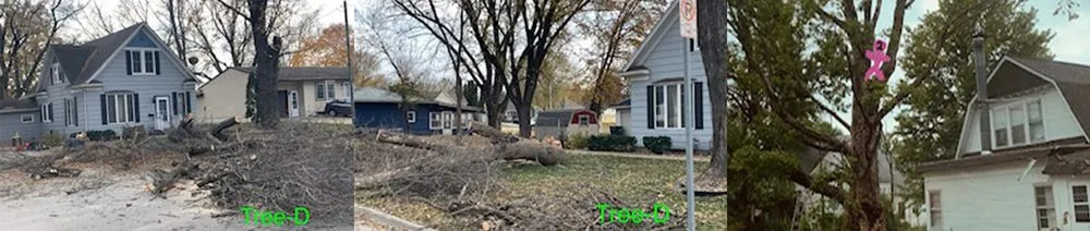 Local lawn mowing service in Nevada, IA - Godbrink