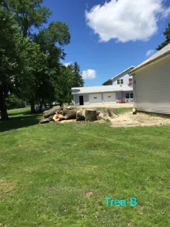 Trusted landscaping services for year-round maintenance in Nevada, IA by Godbrink