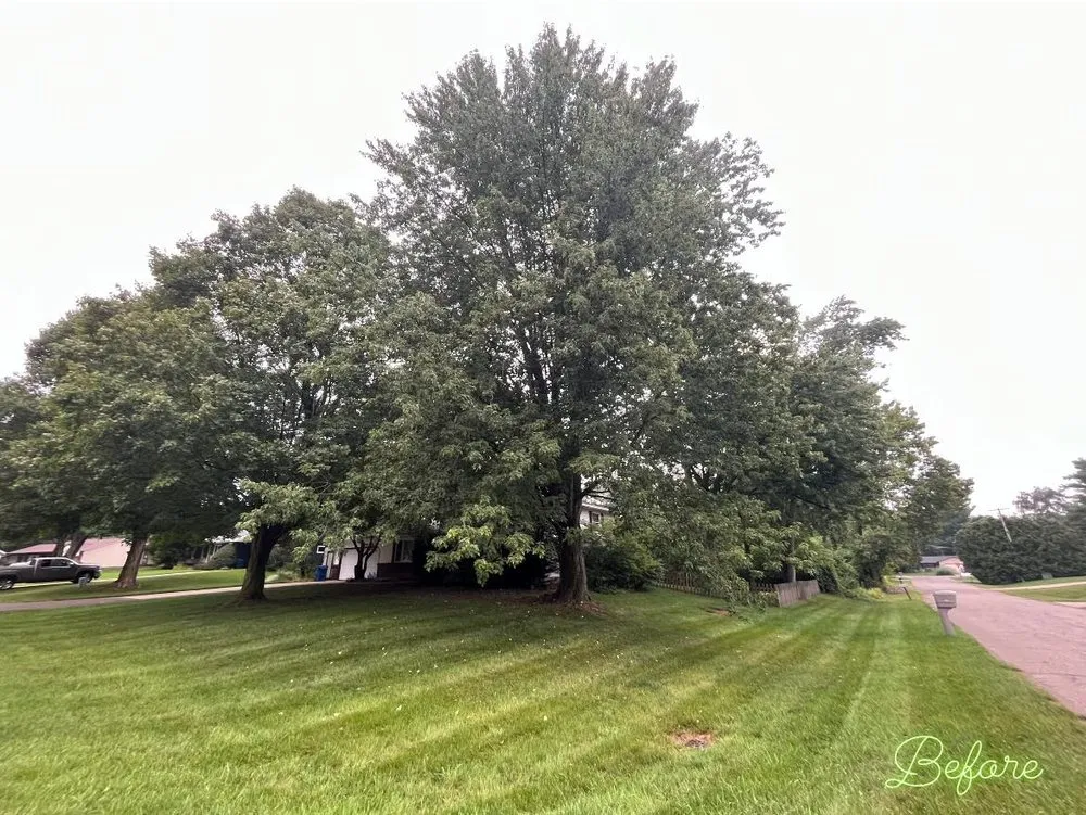 Trusted landscape installation in Kalamazoo, MI - Godden Property Maintenance