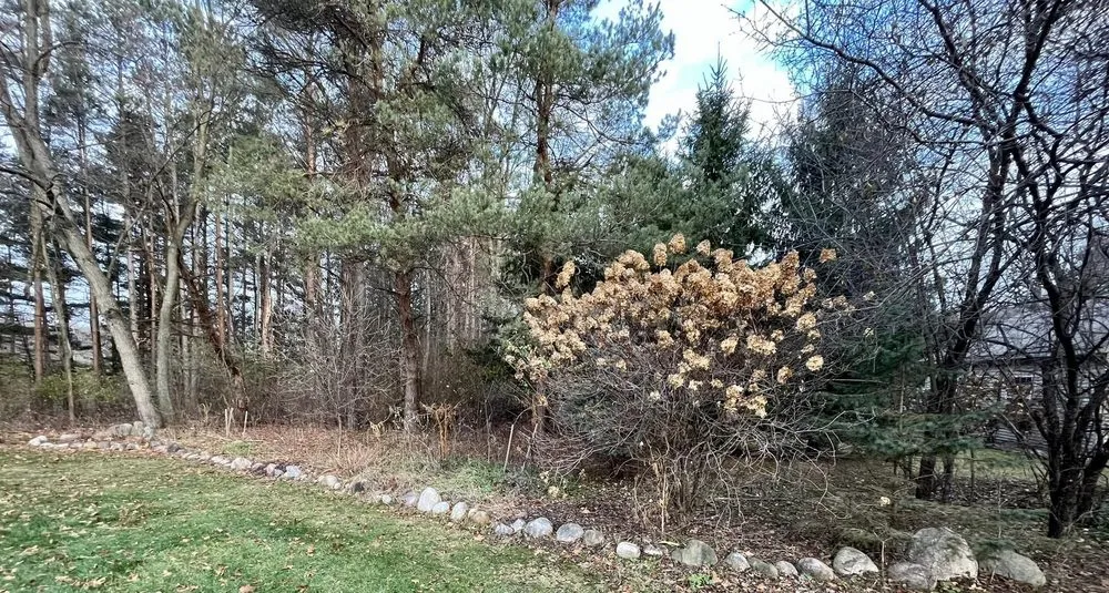 Trusted yard maintenance in Kalamazoo, MI - Godden Property Maintenance