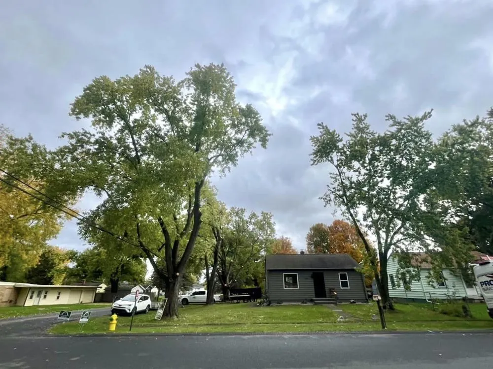 Custom residential landscaping experts serving Kalamazoo, MI - Godden Property Maintenance