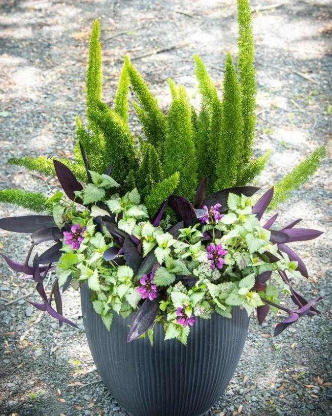 Reliable landscaping services in Memphis, TN by Goddess & Suns Landscaping and Consulting