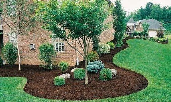 Goddess & Suns Landscaping and Consulting Logo