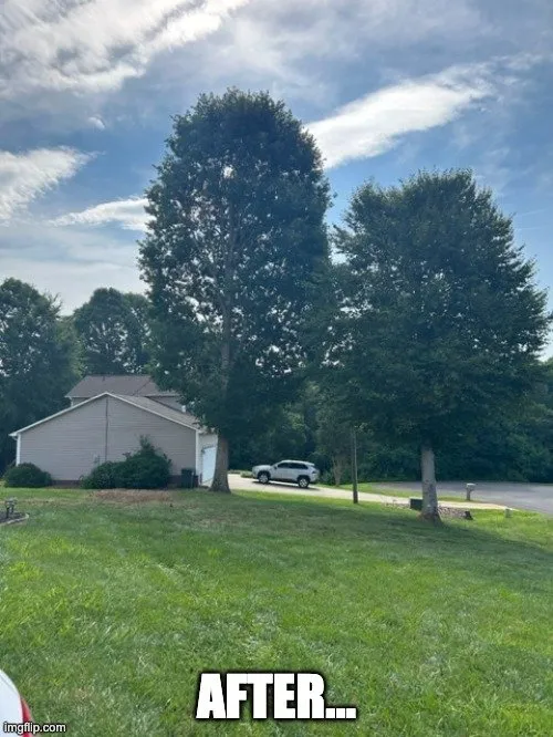 Professional landscaping services in Statesville, NC - Godfrey Tree Service