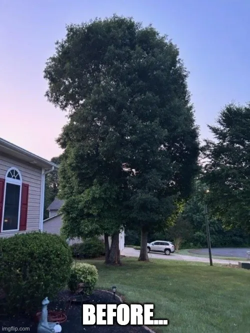 Affordable outdoor landscaping experts serving Statesville, NC - Godfrey Tree Service